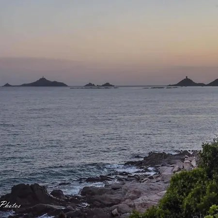 Cosystudio Centre 阿雅克肖