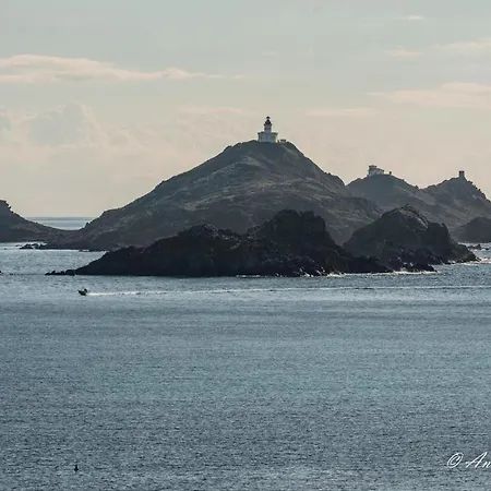 Apartament Cosystudio Centre *