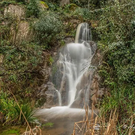 Cosystudio Centre * 阿雅克肖