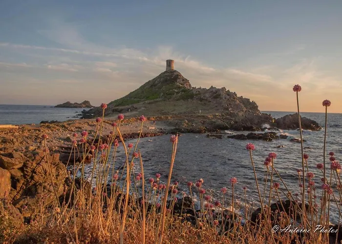 Appartement Cosystudio Centre *