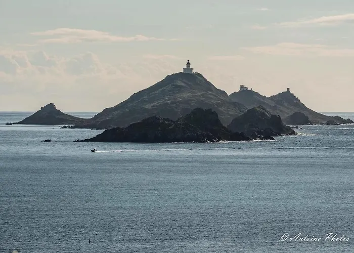 Appartement Cosystudio Centre *