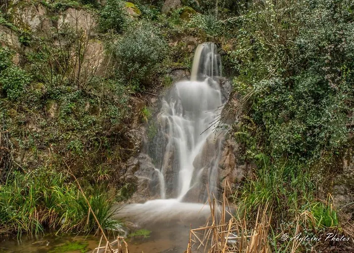 Cosystudio Centre * Ajaccio (Corsica)